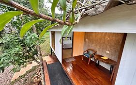 Jungle Guest House